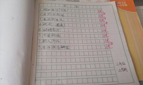 写日记 初中原创叙事作文800字