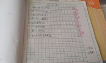 写日记 初中原创叙事作文800字