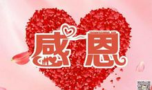 感恩-感恩的心作文900字