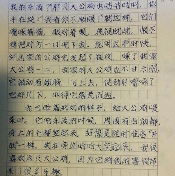 网课上进行了现场作文,看看小学生发挥得怎么样 2