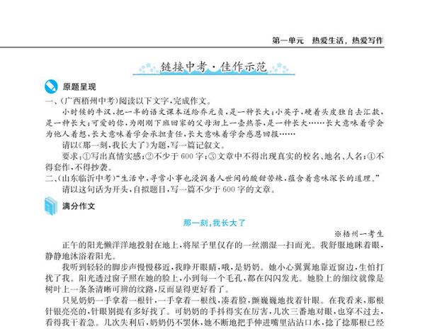 一套完整的序列化作文训练方案——新语文·新作文丛书 21