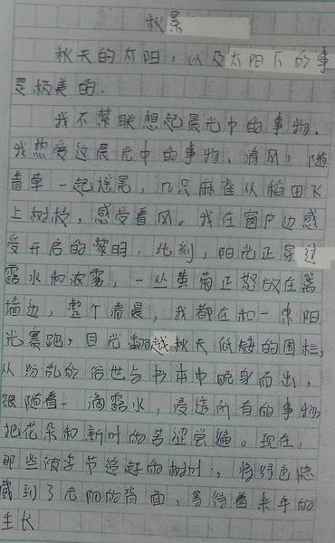 秋妹儿 高一写人作文800字