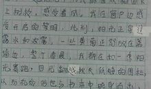 秋妹儿 高一写人作文800字