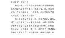 人鼠大战 写事的作文400字