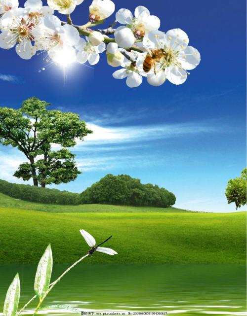携手蓝天，向阳启程-难忘的夏令营活动作文700字