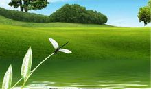 携手蓝天，向阳启程-难忘的夏令营活动作文700字