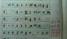 三年级叙事作文：斗鸡_350字