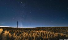 写事作文：雨夜记趣