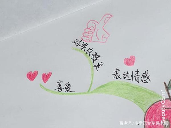 一张思维导图全解各种写水果的作文 9