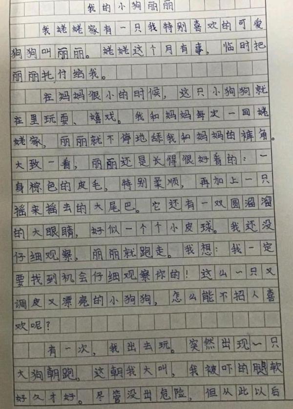 网课上进行了现场作文,看看小学生发挥得怎么样 3