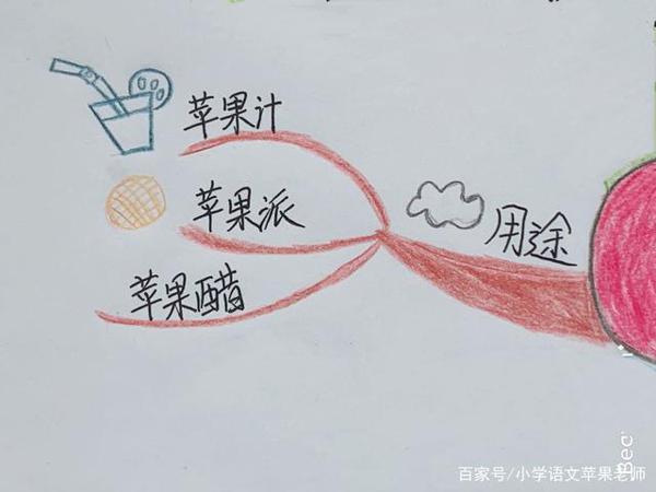 一张思维导图全解各种写水果的作文 8