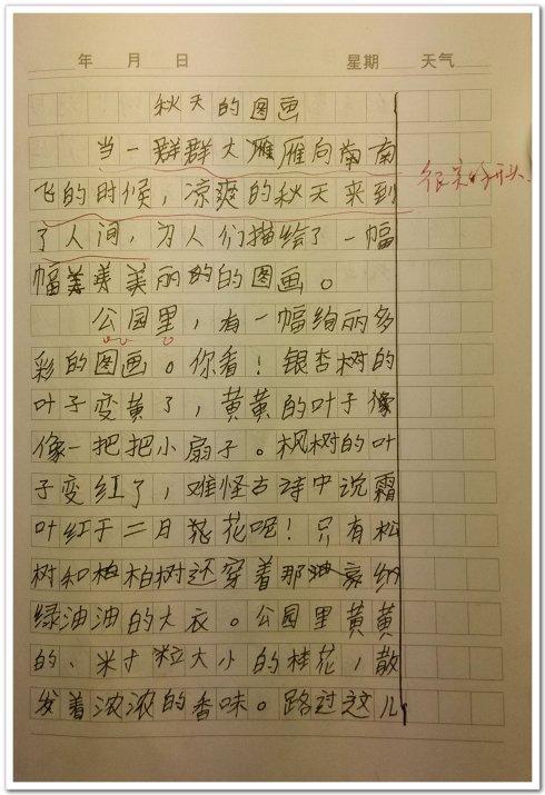 落叶 学会珍惜作文300字