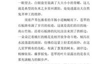 这儿真美-游玩南山竹海作文500字