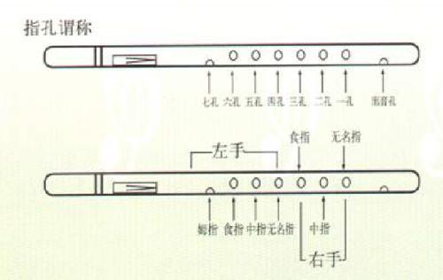 吹葫芦丝的爷爷_500字