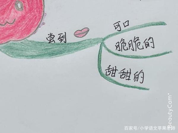 一张思维导图全解各种写水果的作文 6