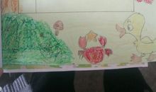 二年级的读书笔记