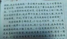 暑假中的一件事 另我印象深刻的一件事300字作文