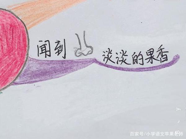 一张思维导图全解各种写水果的作文 5
