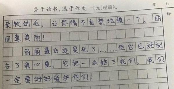 网课上进行了现场作文,看看小学生发挥得怎么样 5