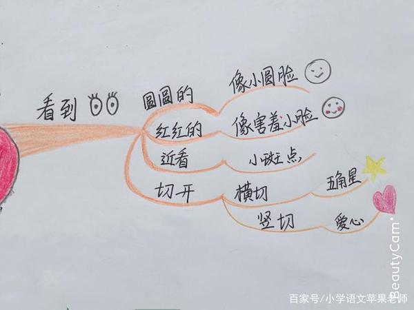 一张思维导图全解各种写水果的作文 4