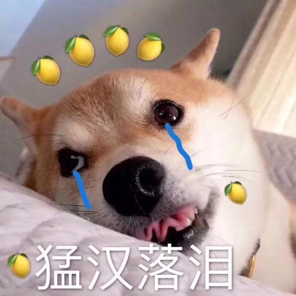 9.7独立口语写作详解||作文遇真题，分手要彻底！