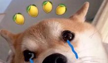 9.7独立口语写作详解||作文遇真题，分手要彻底！