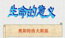 追寻生命的意义，实现自我价值 高三议论文700字