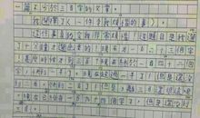 叶文浩 我的一个同学300字写人作文