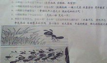 牡丹图-看图写话400字