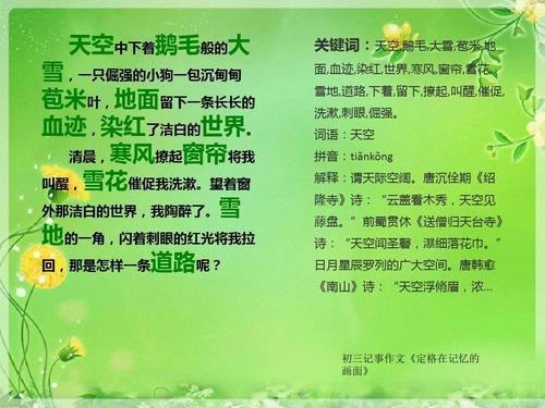 定格在我们记忆的画面 关于记忆的作文700字