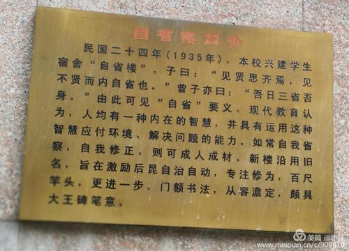 我是大自然的一员-梧桐树的自述作文400字