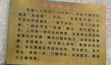 我是大自然的一员-梧桐树的自述作文400字