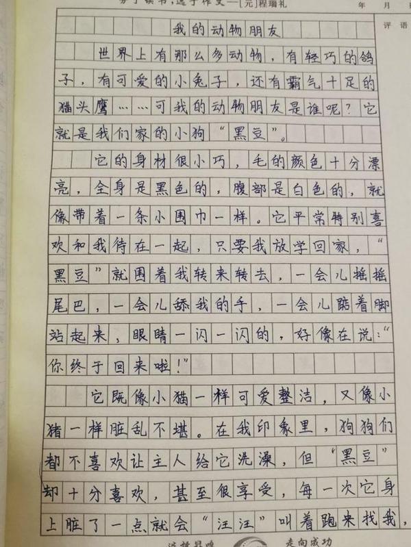 网课上进行了现场作文,看看小学生发挥得怎么样 7