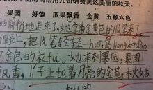 四年级写人作文：唐僧妈妈_600字