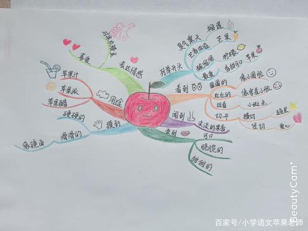 一张思维导图全解各种写水果的作文 2