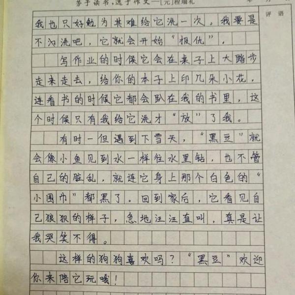 网课上进行了现场作文,看看小学生发挥得怎么样 8
