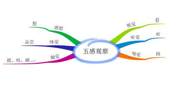 一张思维导图全解各种写水果的作文 1
