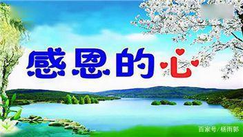 许可馨事件入材料作文,爱国情怀进入考试 2