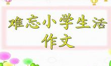 难忘小学生活_1500字
