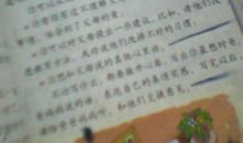 二年级写人作文：我的母亲_300字