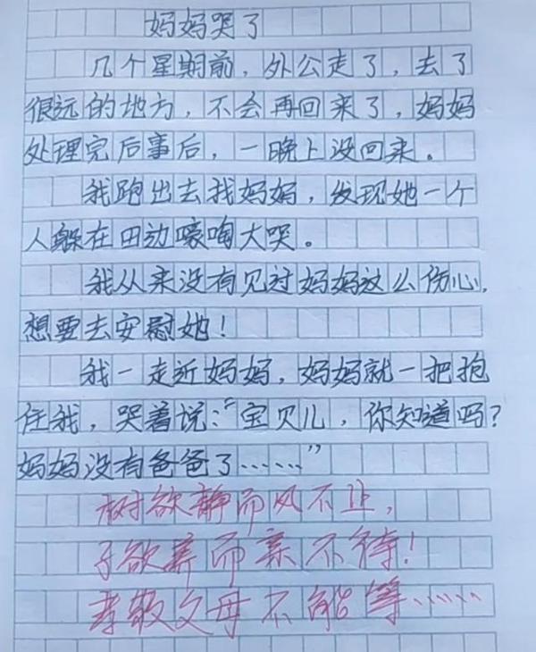 小学生作文火了,吐槽名字笔画太多不敢犯错,网友:念不出这名字 4