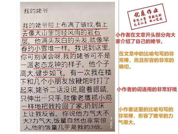 写出好作文，什么最重要？