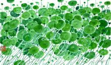 初中作文 | 眼前的风景