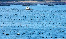 好文读后感系列，睡前看看提升一下自己吧！（建议收藏）