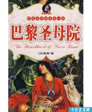 读《巴黎圣母院》有感（一）_1200字