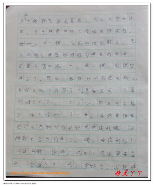 学钉扣子的作文