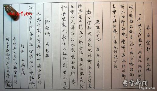 水笔的自述的作文