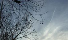 《玩的就是心计》读后感