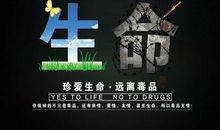 珍惜生命，远离毒品_450字
