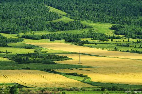 写事作文：劳动，成就幸福的美好